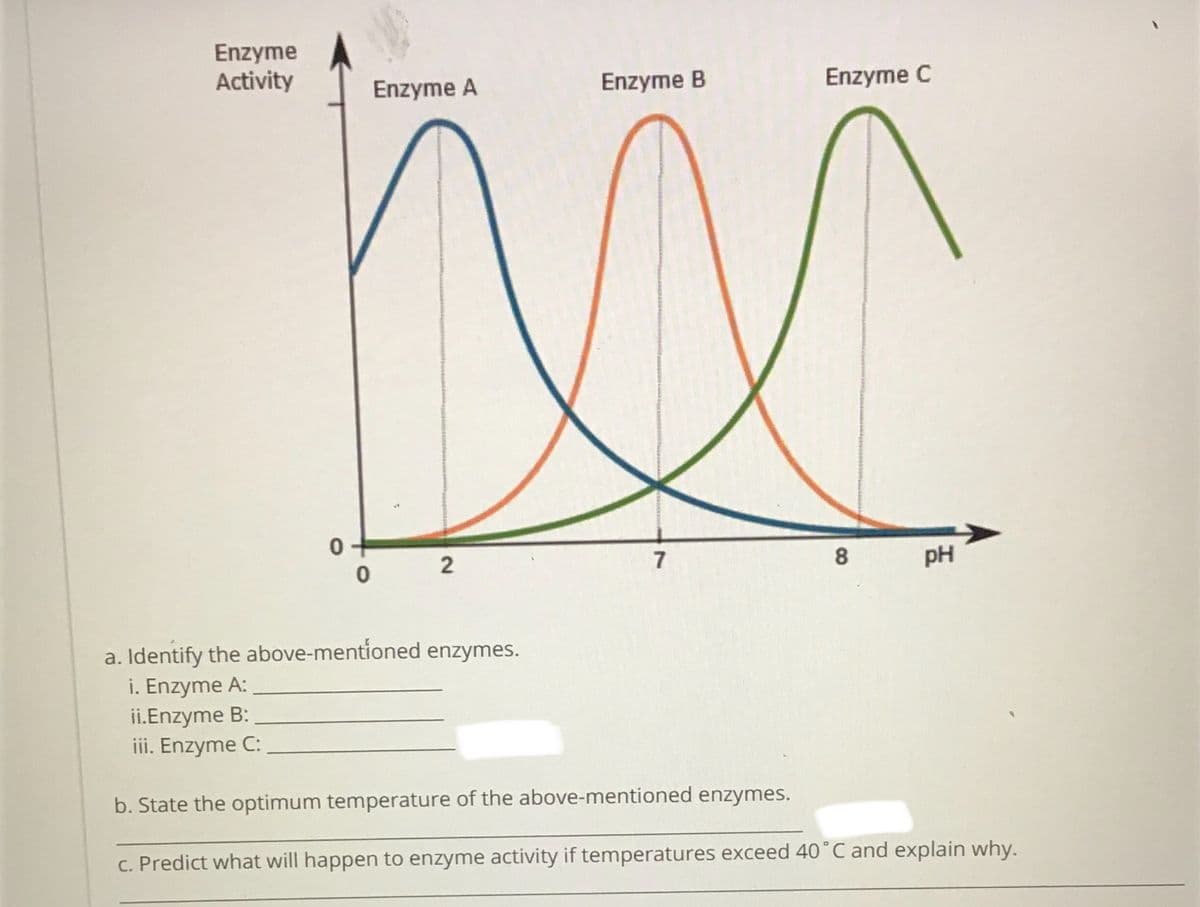 Enzyme
Activity
Enzyme A
Enzyme B
Enzyme C
7
8
pH
a. Identify the above-mentioned enzymes.
i. Enzyme A:
ii.Enzyme B:
iii. Enzyme C:
b. State the optimum temperature of the above-mentioned enzymes.
c. Predict what will happen to enzyme activity if temperatures exceed 40°C and explain why.
