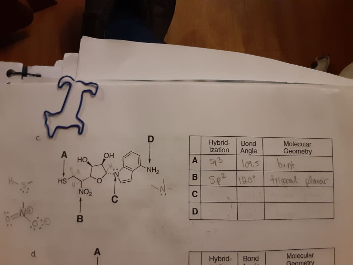 C.
Hybrid-
ization
Bond
Molecular
Angle
Geometry
OH
HO
A
Sp 3
l09.5
bent
NH2
B Sp 120
120°
triganal planar
H-
HS
NO2
C
C
d.
A
Molecular
Geometry
Hybrid-
Bond
D.
