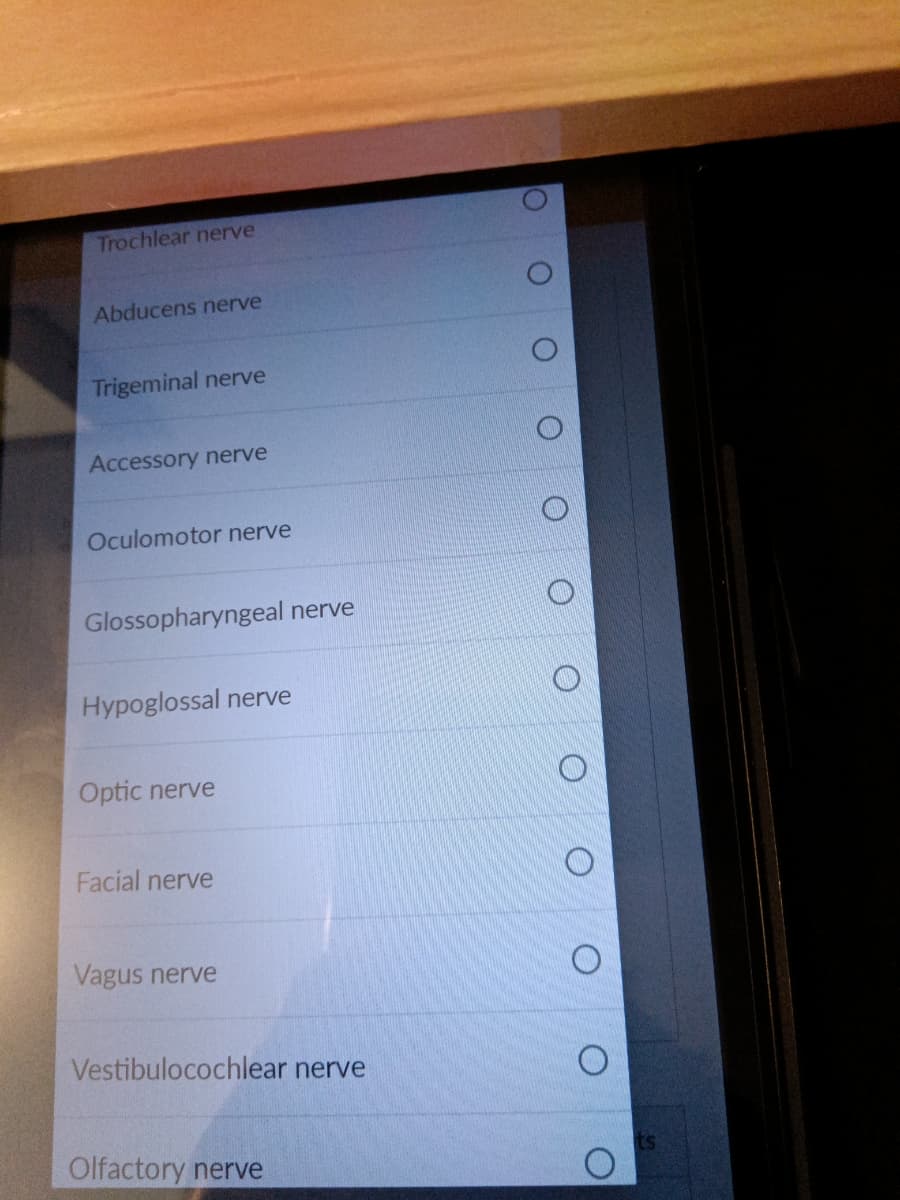 Trochlear nerve
Abducens nerve
Trigeminal nerve
Accessory nerve
Oculomotor nerve
Glossopharyngeal nerve
Hypoglossal nerve
Optic nerve
Facial nerve
Vagus nerve
Vestibulocochlear nerve
Olfactory nerve
O