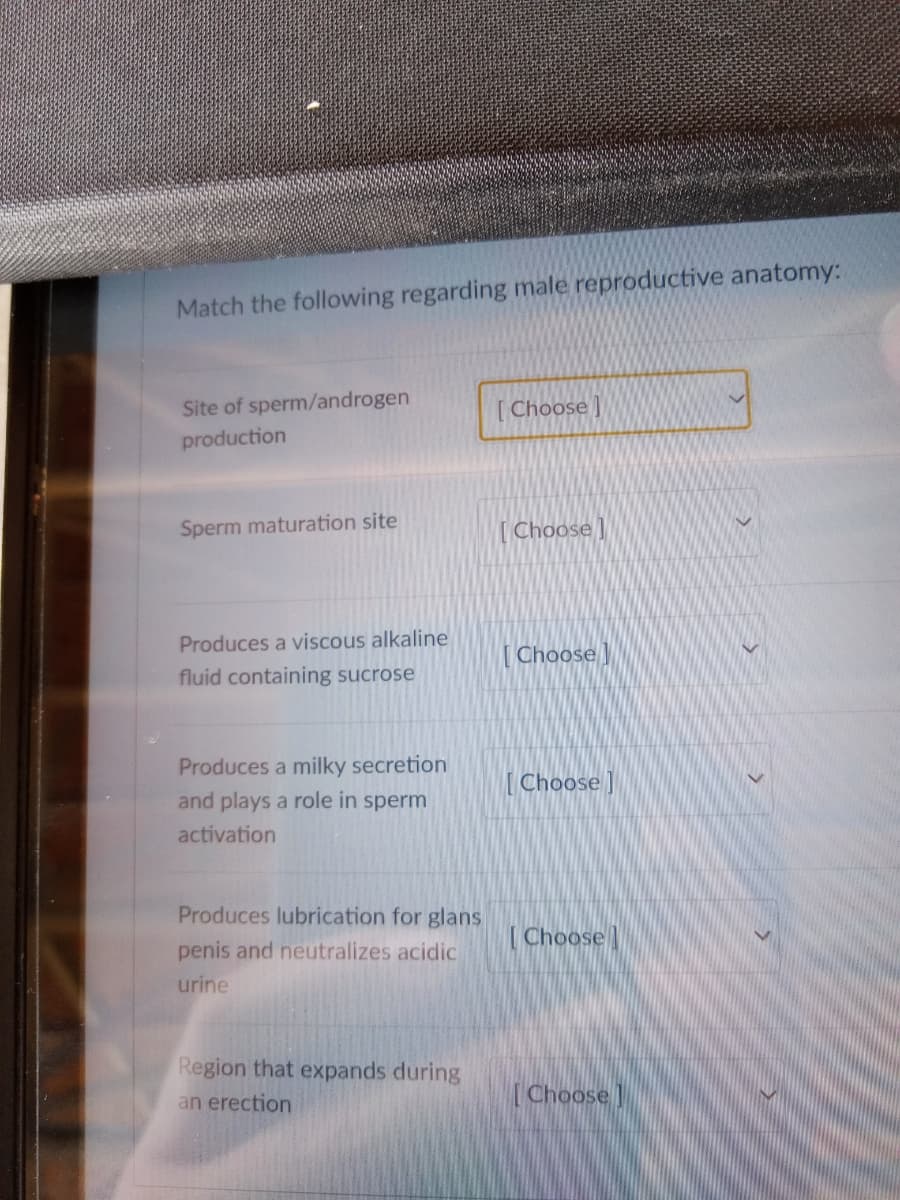 Match the following regarding male reproductive anatomy:
Site of sperm/androgen
production
Sperm maturation site
Produces a viscous alkaline
fluid containing sucrose
Produces a milky secretion
and plays a role in sperm
activation
Produces lubrication for glans
penis and neutralizes acidic
urine
Region that expands during
an erection
[Choose]
[Choose]
[Choose
[Choose]
[Choose
[Choose