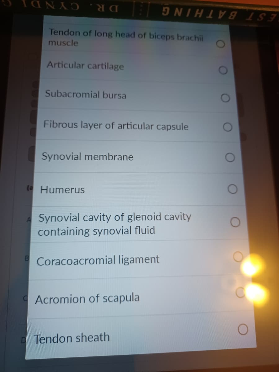 ΙΟΝΑΌ
CA
Tendon of long head of biceps brachii
muscle
Articular cartilage
Subacromial bursa
Fibrous layer of articular capsule
Synovial membrane
(Humerus
NIHIVE SE
Synovial cavity of glenoid cavity
containing synovial fluid
B Coracoacromial ligament
Acromion of scapula
D Tendon sheath