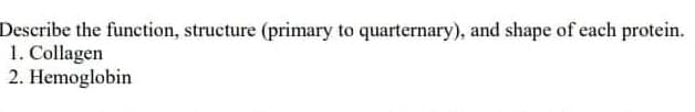 Describe the function, structure (primary to quarternary), and shape of each protein.
1. Collagen
2. Hemoglobin

