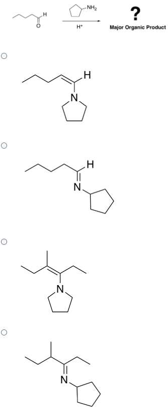 O
O
O
N.
H*
N
N
N.
-NH₂
H
.H
مل
I
?
Major Organic Product
убо