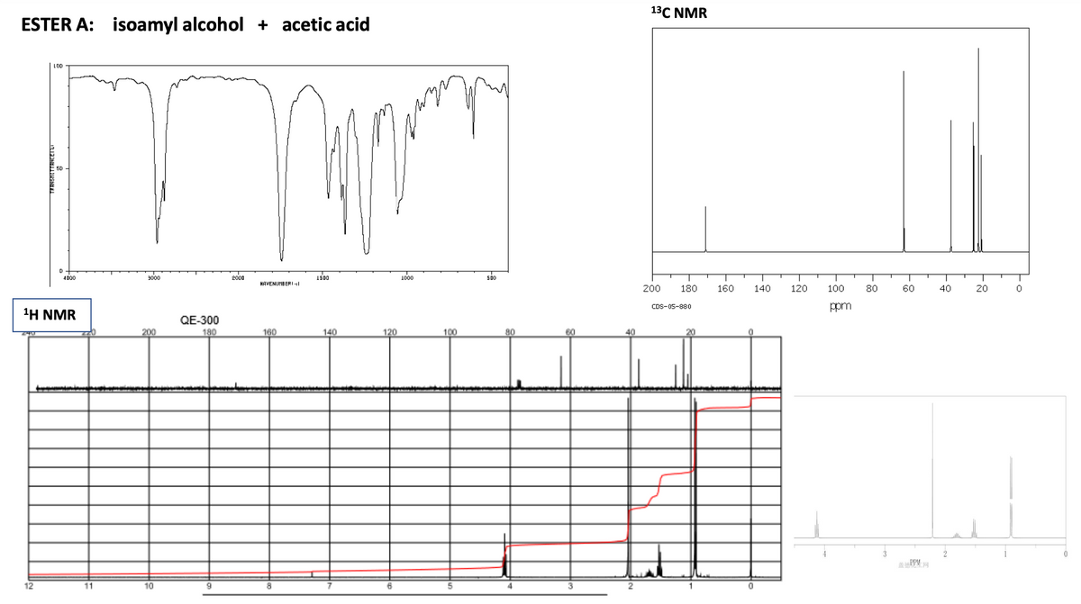 13C NMR
ESTER A: isoamyl alcohol + acetic acid
LOD
50 -
2000
1500
1000
500
4000
3000
HAVENUMB ERI -1|
200
180
160
140
120
100
80
60
40
20
ppm
CDS-05-880
1Η ΝMR
QE-300
200
180
160
140
120
100
80
60
40
20
12
11
10
