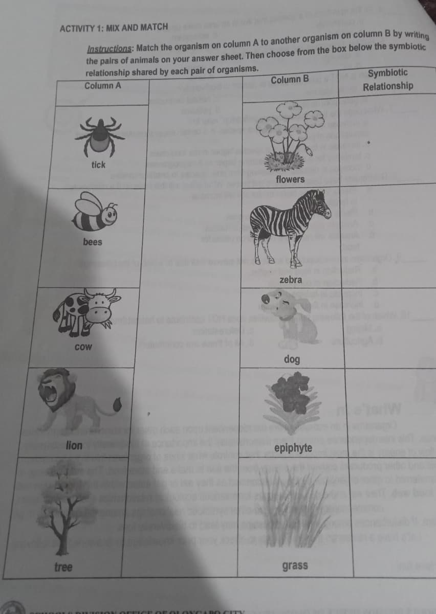 ACTIVITY 1: MIX AND MATCH
Instructions: Match the organism on column A to another organism on column B by writing
the pairs of animals on your answer sheet. Then choose from the box below the symbiotic
relationship shared by each pair of organisms.
Column A
Symbiotic
Relationship
Column B
tick
flowers
bees
zebra
COW
dog
lion
epiphyte
tree
grass
DO CITY
