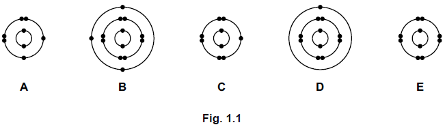 A
B
D
E
Fig. 1.1
