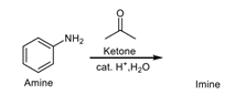 NH2
Ketone
cat. H".H20
Amine
Imine
