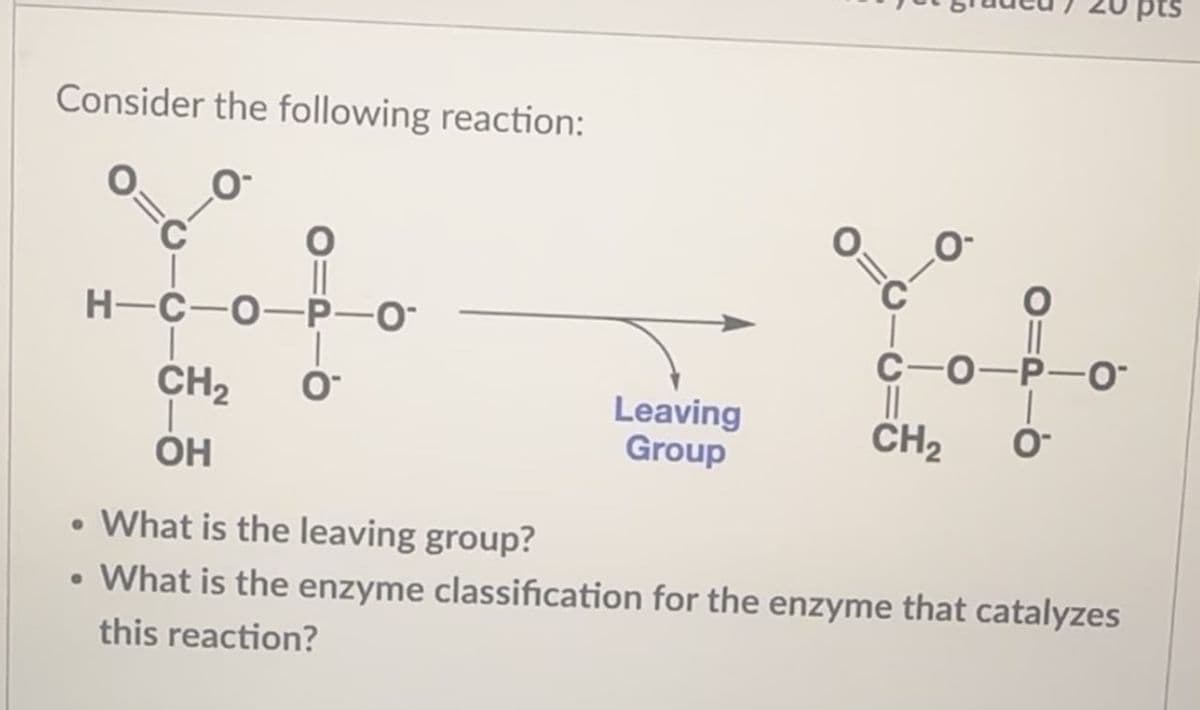 Consider the following reaction:
H-C-O-P-O
CH2
0-
OH
C-O-P-0-
Leaving
Group
CH2
0-
• What is the leaving group?
• What is the enzyme classification for the enzyme that catalyzes
this reaction?
pts