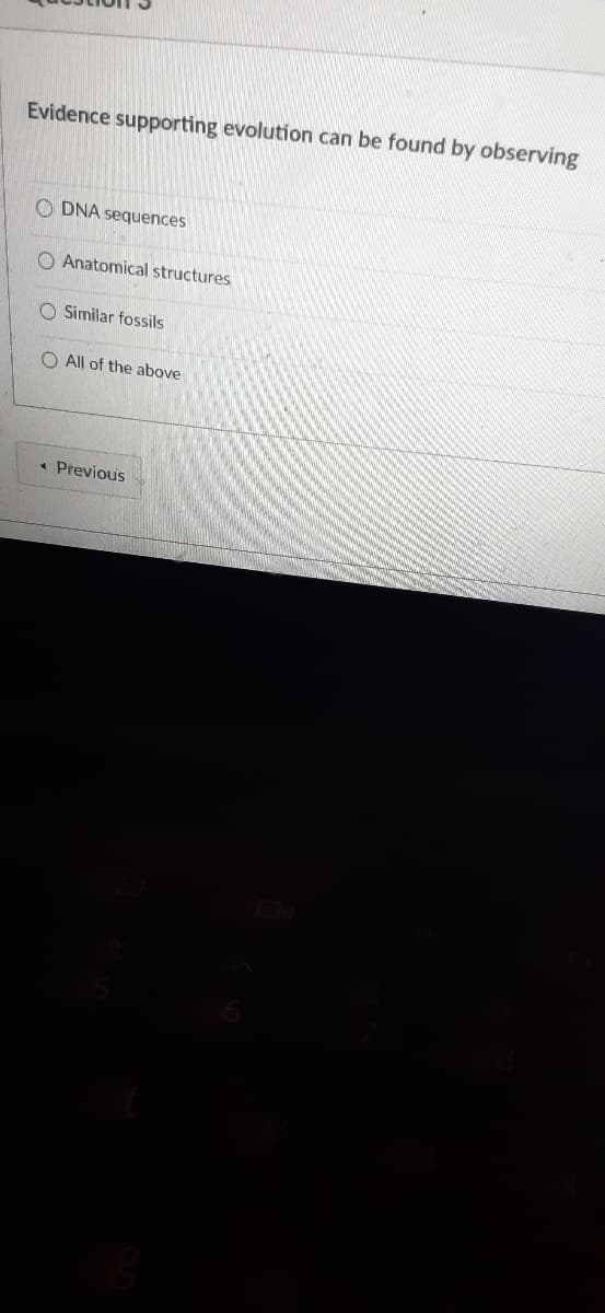 Evidence supporting evolution can be found by observing
O DNA sequences
O Anatomical structures
O Similar fossils
O All of the above
Previous
