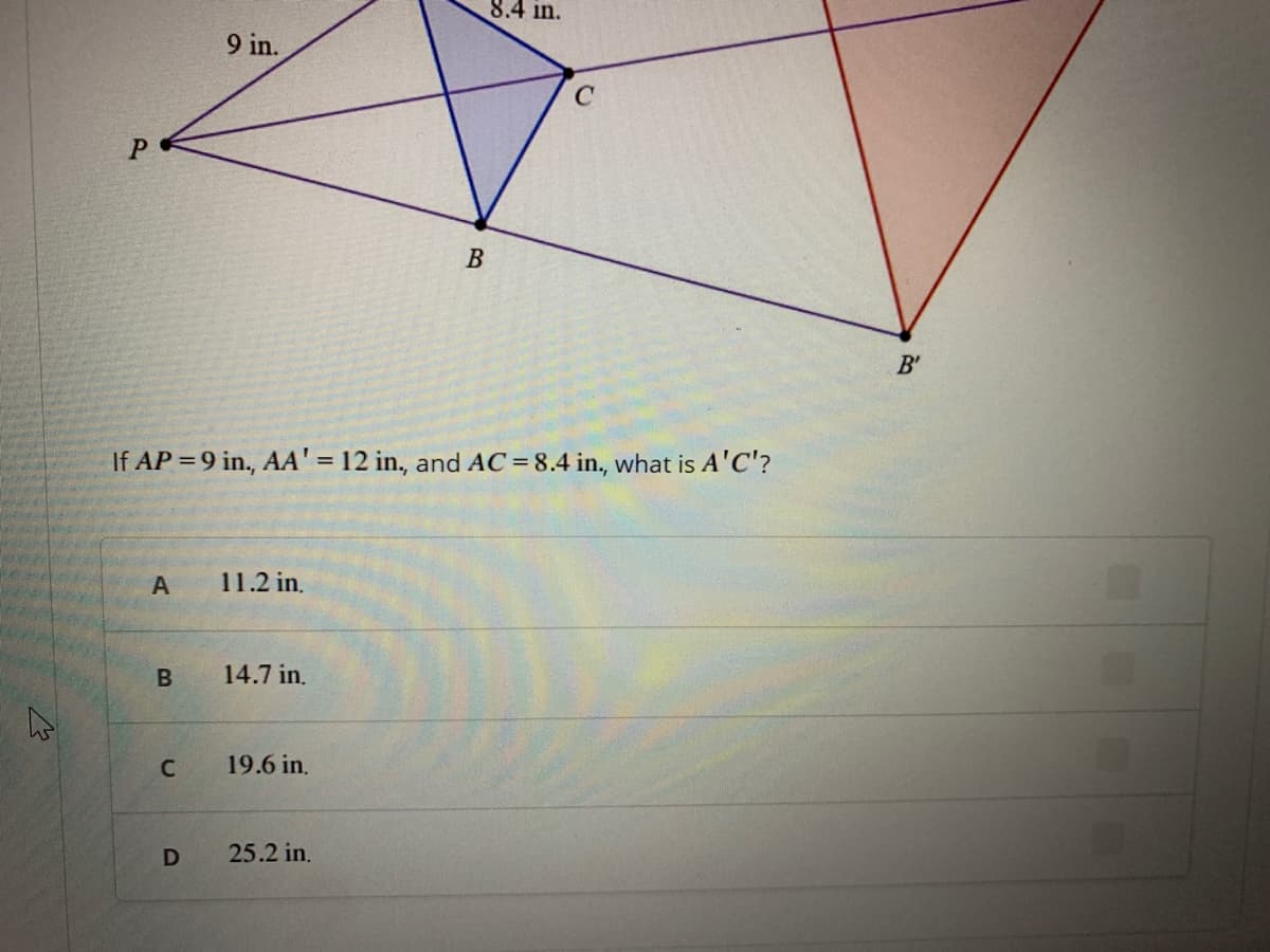 8.4 in.
9 in.
B
B'
If AP =9 in., AA' = 12 in, and AC =8.4 in., what is A'C'?
%3D
A
11.2 in.
14.7 in.
19.6 in.
25.2 in.
