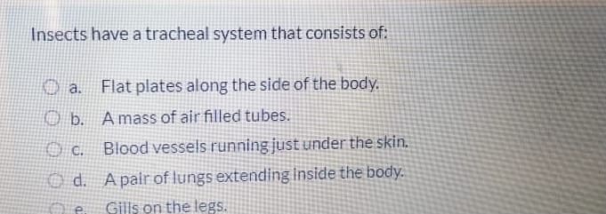 Insects have a tracheal system that consists of:
O a. Flat plates along the side of the body.
O b. A mass of air filled tubes.
Blood vessels running just under the skin.
d.
O d. Apairof lungs extending Inside the body.
Gills on the legs.
