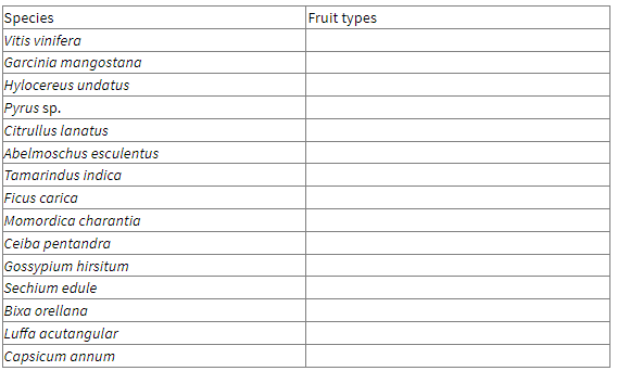 Species
Vitis vinifera
Garcinia mangostana
Hylocereus undatus
Pyrus sp.
Citrullus lanatus
Abelmoschus esculentus
Tamarindus indica
Ficus carica
Momordica charantia
Ceiba pentandra
Gossypium hirsitum
Sechium edule
Bixa orellana
Luffa acutangular
Fruit types
Capsicum annum
