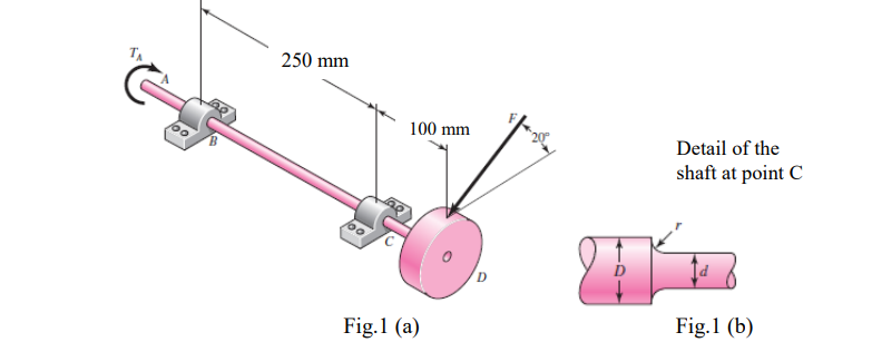 250 mm
100 mm
Detail of the
shaft at point C
Fig.1 (a)
Fig.1 (b)
