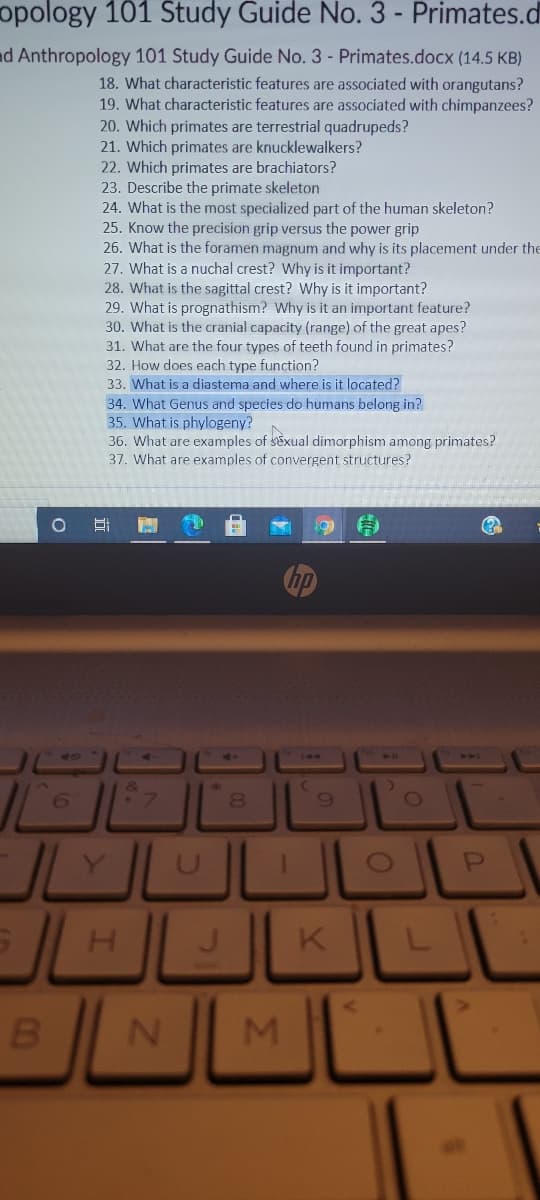 opology 101 Study Guide No. 3 - Primates.d
d Anthropology 101 Study Guide No. 3 - Primates.docx (14.5 KB)
18. What characteristic features are associated with orangutans?
19. What characteristic features are associated with chimpanzees?
20. Which primates are terrestrial quadrupeds?
21. Which primates are knucklewalkers?
22. Which primates are brachiators?
23. Describe the primate skeleton
24. What is the most specialized part of the human skeleton?
25. Know the precision grip versus the power grip
26. What is the foramen magnum and why is its placement under the
27. What is a nuchal crest? Why is it important?
28. What is the sagittal crest? Why is it important?
29. What is prognathism? Why is it an important feature?
30. What is the cranial capacity (range) of the great apes?
31. What are the four types of teeth found in primates?
32. How does each type function?
33. What is a diastema and where is it located?
34. What Genus and species do humans belong in?
35. What is phylogeny?
36. What are examples of sExual dimorphism among primates?
37. What are examples of convergent structures?
6.
H.
K
B
M.
近
