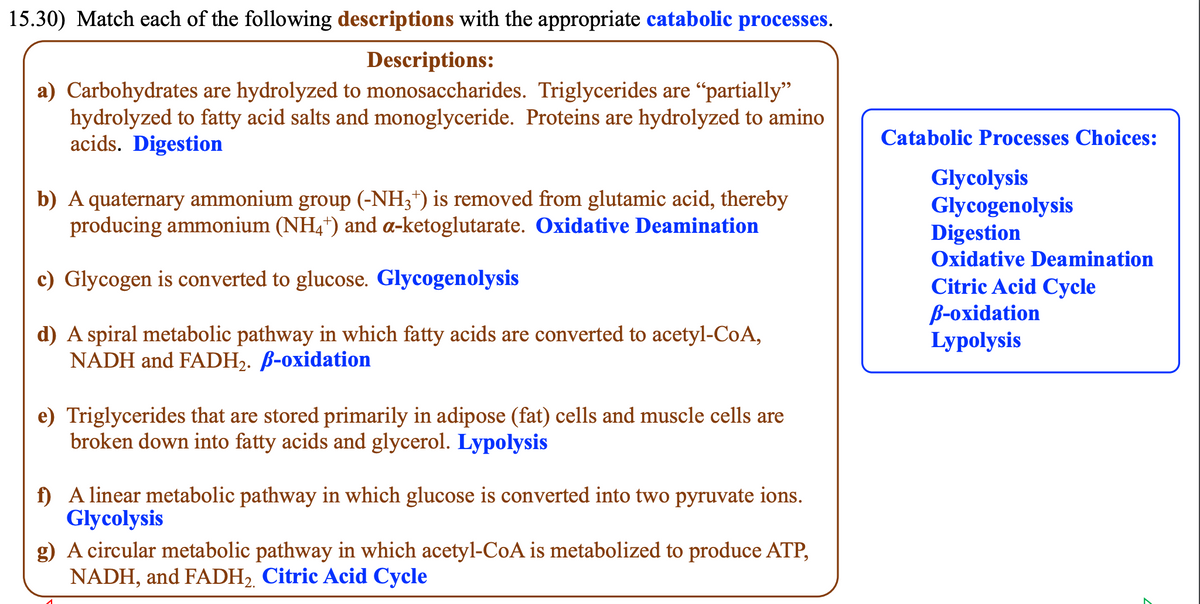 15.30) Match each of the following descriptions with the appropriate catabolic processes.
Descriptions:
a) Carbohydrates are hydrolyzed to monosaccharides. Triglycerides are "partially"
hydrolyzed to fatty acid salts and monoglyceride. Proteins are hydrolyzed to amino
acids. Digestion
b) A quaternary ammonium group (-NH3+) is removed from glutamic acid, thereby
producing ammonium (NH4+) and a-ketoglutarate. Oxidative Deamination
c) Glycogen is converted to glucose. Glycogenolysis
d) A spiral metabolic pathway in which fatty acids are converted to acetyl-CoA,
NADH and FADH₂. B-oxidation
e) Triglycerides that are stored primarily in adipose (fat) cells and muscle cells are
broken down into fatty acids and glycerol. Lypolysis
f) A linear metabolic pathway in which glucose is converted into two pyruvate ions.
Glycolysis
g) A circular metabolic pathway in which acetyl-CoA is metabolized to produce ATP,
NADH, and FADH₂, Citric Acid Cycle
Catabolic Processes Choices:
Glycolysis
Glycogenolysis
Digestion
Oxidative Deamination
Citric Acid Cycle
B-oxidation
Lypolysis