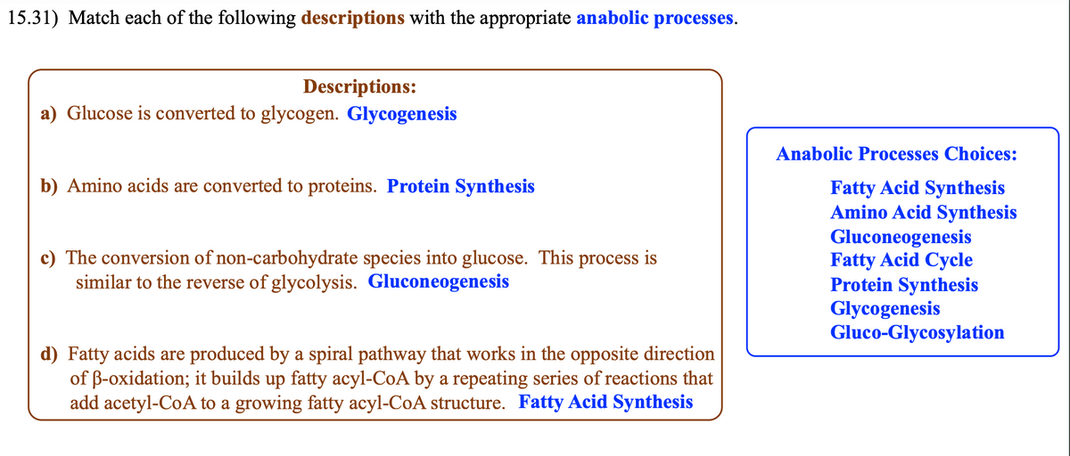 15.31) Match each of the following descriptions with the appropriate anabolic processes.
Descriptions:
a) Glucose is converted to glycogen. Glycogenesis
b) Amino acids are converted to proteins. Protein Synthesis
c) The conversion of non-carbohydrate species into glucose. This process is
similar to the reverse of glycolysis. Gluconeogenesis
d) Fatty acids are produced by a spiral pathway that works in the opposite direction
of ß-oxidation; it builds up fatty acyl-CoA by a repeating series of reactions that
add acetyl-CoA to a growing fatty acyl-CoA structure. Fatty Acid Synthesis
Anabolic Processes Choices:
Fatty Acid Synthesis
Amino Acid Synthesis
Gluconeogenesis
Fatty Acid Cycle
Protein Synthesis
Glycogenesis
Gluco-Glycosylation