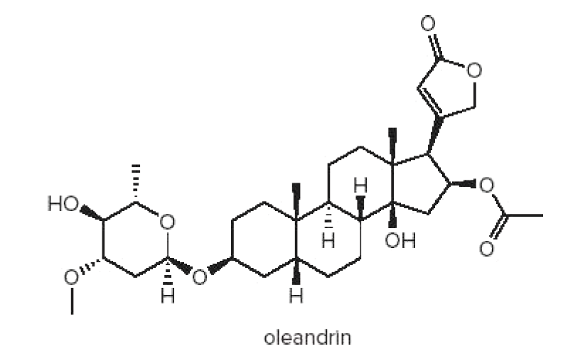 Но,
Он
Н
oleandrin
וו:
Пи
