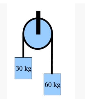 30 kg
60 kg
