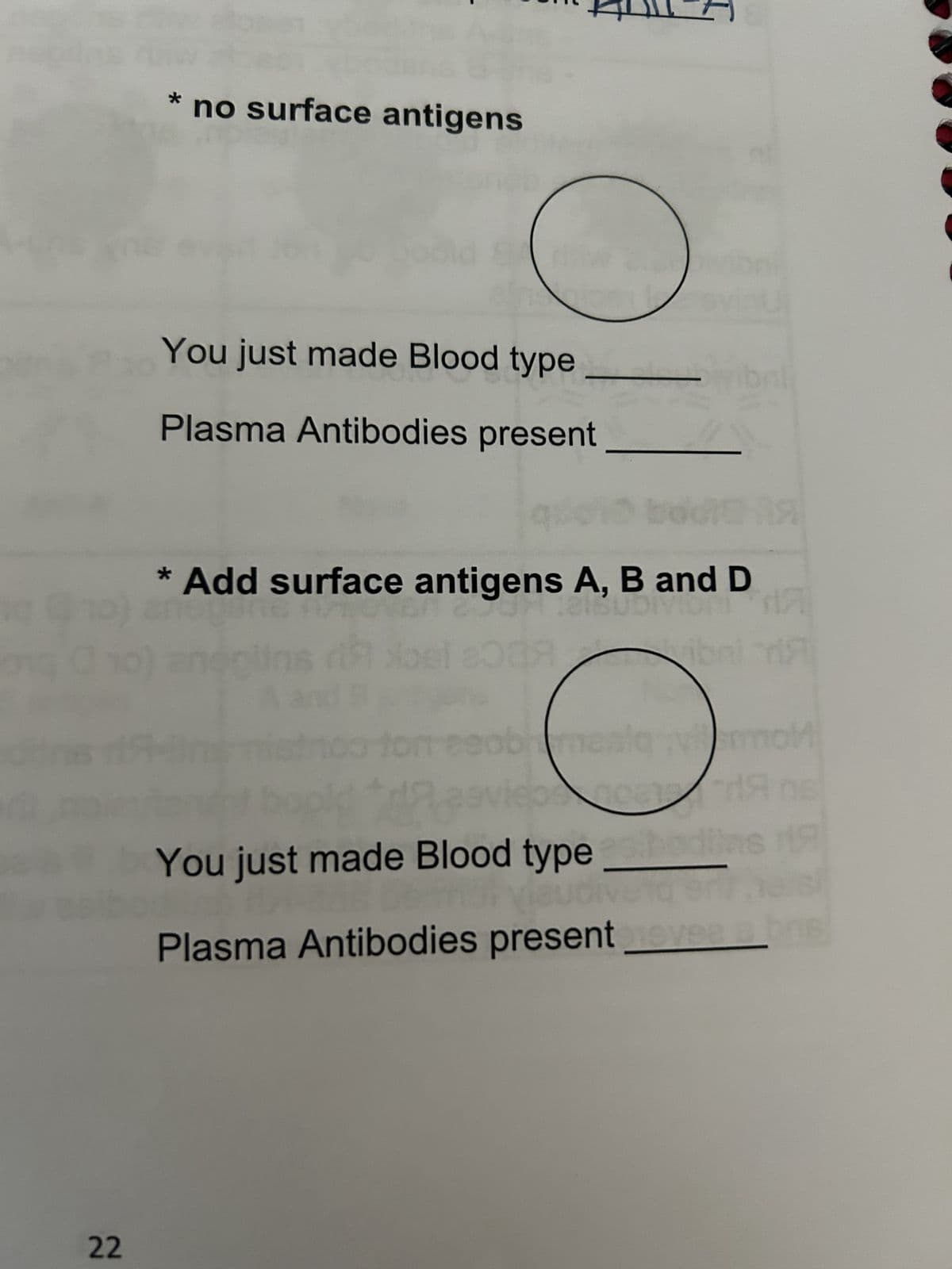 10)
22
A
*no surface antigens
You just made Blood type
Plasma Antibodies present
10 bodia A
* Add surface antigens A, B and D
hogar
BUDIVION A
19 Noel 2038
porton
ob
U
me
maslavmmol
ر
na A
You just made Blood type_sbodilns it
Plasma Antibodies present revea 16