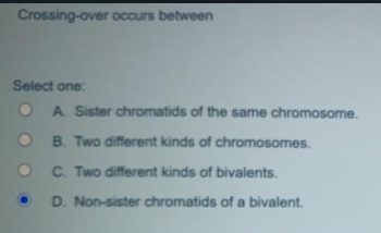 Crossing-over occurs between
Select one:
O A Sister chromatids of the same chromosome.
O B. Two different kinds of chromosomes.
• C. Two different kinds of bivalents.
D. Non-sister chromatids of a bivalent.
