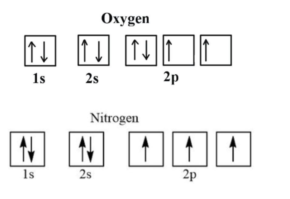 ↑↓
1s
N
1s
Oxygen
↑ ↓
2s
2s
|↑↓↓||↑
Nitrogen
2p
2p
↑
↑