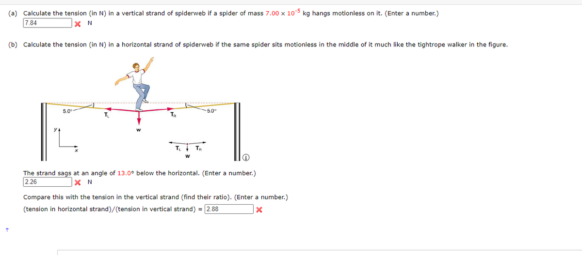 (a) Calculate the tension (in N) in a vertical strand of spiderweb if a spider of mass 7.00 x 105 kg hangs motionless on it. (Enter a number.)
7.84
XN
(b) Calculate the tension (in N) in a horizontal strand of spiderweb if the same spider sits motionless in the middle of it much like the tightrope walker in the figure.
5.0°
T₁
TL TR
W
-5.0°
The strand sags at an angle of 13.0° below the horizontal. (Enter a number.)
2.26
X N
Compare this with the tension in the vertical strand (find their ratio). (Enter a number.)
(tension in horizontal strand)/(tension in vertical strand) = 2.88
X