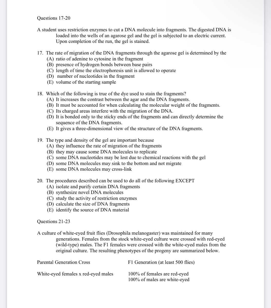 Questions 17-20
A student uses restriction enzymes to cut a DNA molecule into fragments. The digested DNA is
loaded into the wells of an agarose gel and the gel is subjected to an electric current.
Upon completion of the run, the gel is stained.
17. The rate of migration of the DNA fragments through the agarose gel is determined by the
(A) ratio of adenine to cytosine in the fragment
(B) presence of hydrogen bonds between base pairs
(C) length of time the electrophoresis unit is allowed to operate
(D) number of nucleotides in the fragment
(E) volume of the starting sample
18. Which of the following is true of the dye used to stain the fragments?
(A) It increases the contrast between the agar and the DNA fragments.
(B) It must be accounted for when calculating the molecular weight of the fragments.
(C) Its charged areas interfere with the migration of the DNA.
(D) It is bonded only to the sticky ends of the fragments and can directly determine the
sequence of the DNA fragments.
(E) It gives a three-dimensional view of the structure of the DNA fragments.
19. The type and density of the gel are important because
(A) they influence the rate of migration of the fragments
(B) they may cause some DNA molecules to replicate
(C) some DNA nucleotides may be lost due to chemical reactions with the gel
(D) some DNA molecules may sink to the bottom and not migrate
(E) some DNA molecules may cross-link
20. The procedures described can be used to do all of the following EXCEPT
(A) isolate and purify certain DNA fragments
(B) synthesize novel DNA molecules
(C) study the activity of restriction enzymes
(D) calculate the size of DNA fragments
(E) identify the source of DNA material
Questions 21-23
A culture of white-eyed fruit flies (Drosophila melanogaster) was maintained for many
generations. Females from the stock white-eyed culture were crossed with red-eyed
(wild-type) males. The F1 females were crossed with the white-eyed males from the
original culture. The resulting phenotypes of the progeny are summarized below.
Parental Generation Cross
F1 Generation (at least 500 flies)
100% of females are red-eyed
100% of males are white-eyed
White-eyed females x red-eyed males
