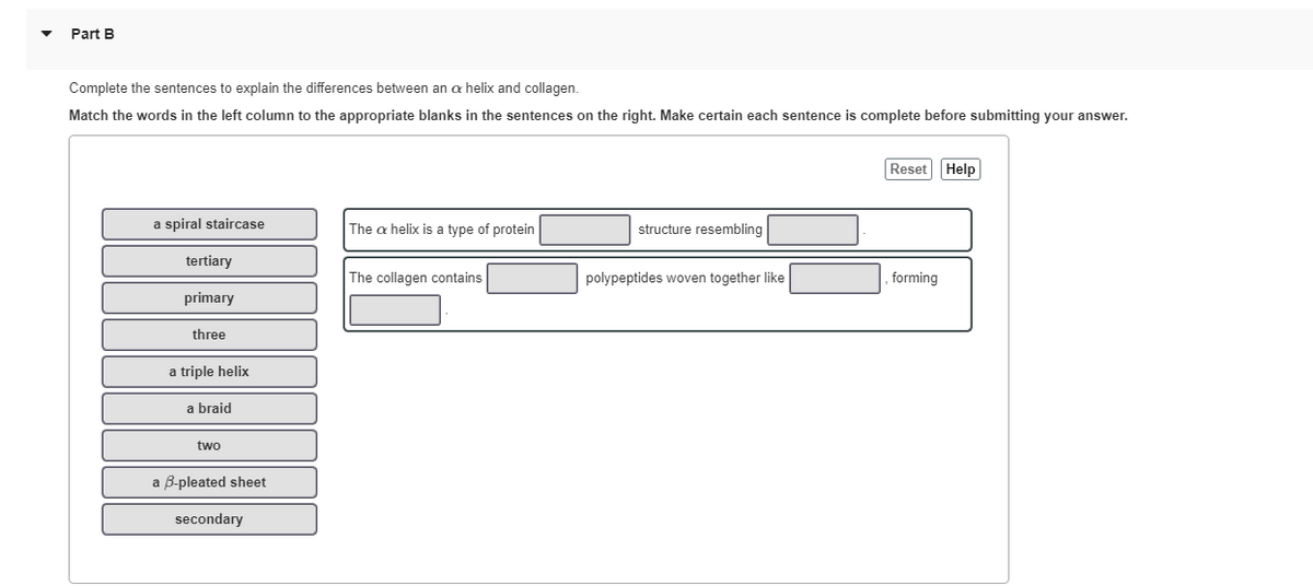 Part B
Complete the sentences to explain the differences between an a helix and collagen.
Match the words in the left column to the appropriate blanks in the sentences on the right. Make certain each sentence is complete before submitting your answer.
Reset Help
a spiral staircase
The a helix is a type of protein
structure resembling
tertiary
The collagen contains
polypeptides woven together like
forming
primary
three
a triple helix
a braid
two
a B-pleated sheet
secondary
