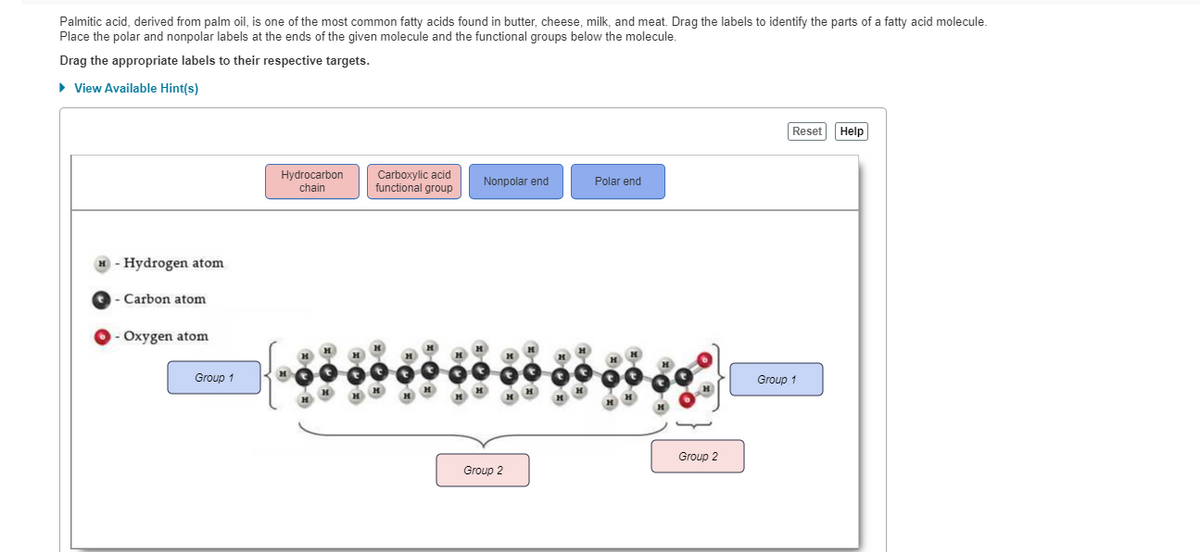 Palmitic acid, derived from palm oil, is one of the most common fatty acids found in butter, cheese, milk, and meat. Drag the labels to identify the parts of a fatty acid molecule.
Place the polar and nonpolar labels at the ends of the given molecule and the functional groups below the molecule.
Drag the appropriate labels to their respective targets.
• View Available Hint(s)
Reset
Help
Hydrocarbon
chain
Carboxylic acid
functional group
Nonpolar end
Polar end
- Hydrogen atom
Carbon atom
Oxygen atom
Group 1
Group 1
Group 2
Group 2
