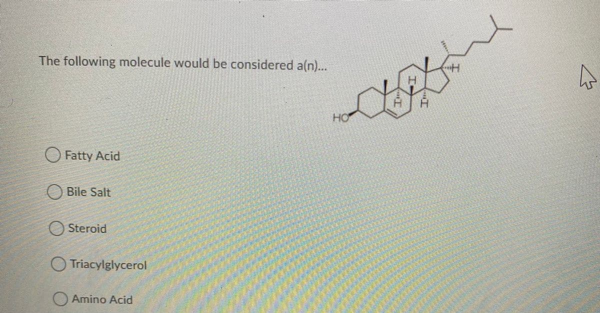 The following molecule would be considered a(n)...
OFatty Acid
Bile Salt
Steroid
O Triacylglycerol
O Amino Acid
