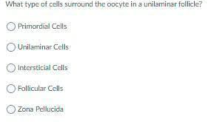What type of cells surround the oocyte in a unilaminar follicle?
O Primordial Cells
O Unilaminar Cells
O Intersticial Cells
O Follicular Cells
O Zona Pellucida
