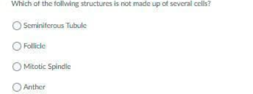 Which of the follwing structures is not made up of several cells?
Seminiferous Tubule
Follicle
O Mitotic Spindle
Anther
