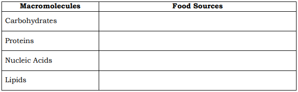 Macromolecules
Food Sources
Carbohydrates
Proteins
Nucleic Acids
Lipids
