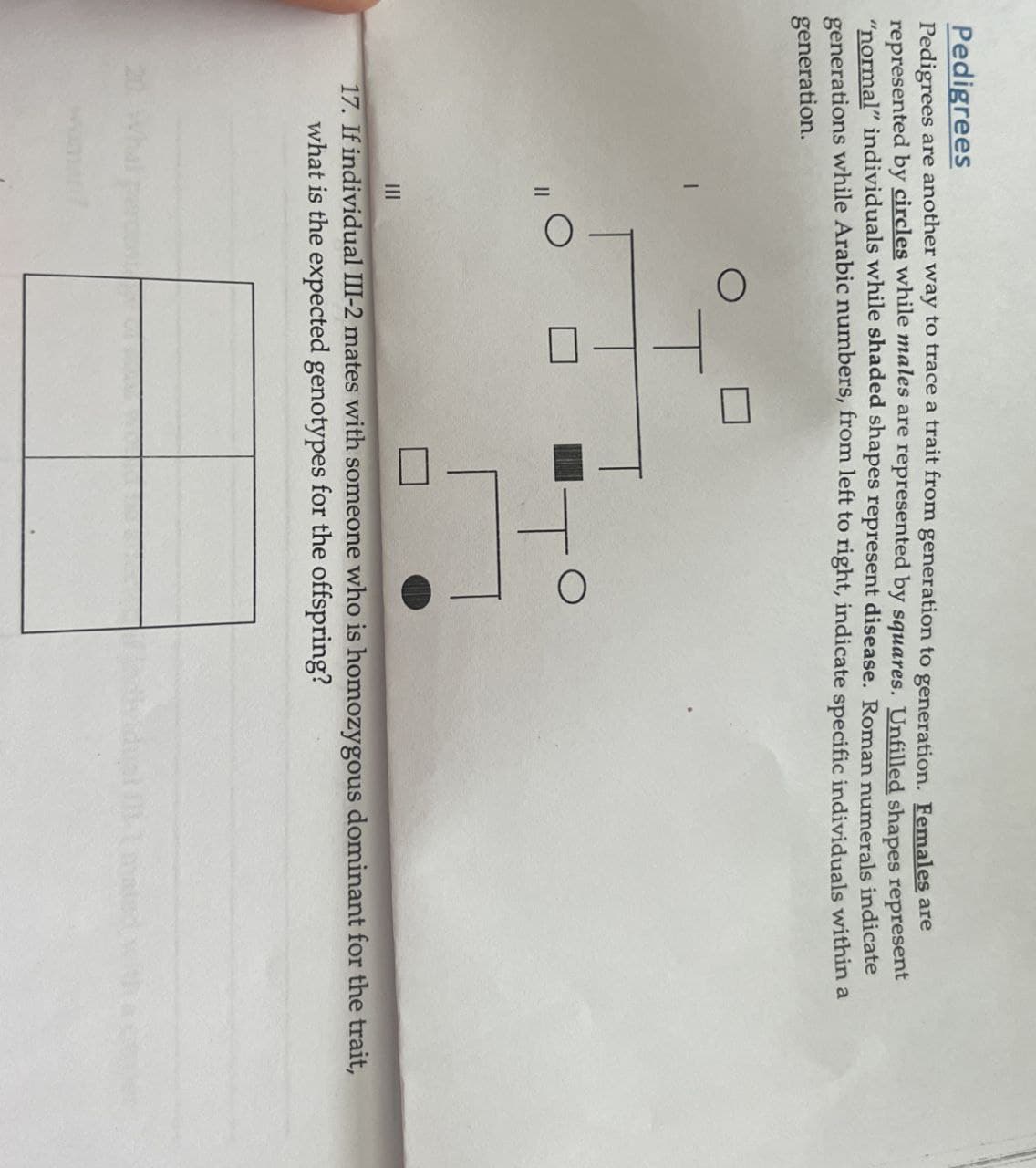 Pedigrees
Pedigrees are another way to trace a trait from generation to generation. Females are
represented by circles while males are represented by squares. Unfilled shapes represent
"normal" individuals while shaded shapes represent disease. Roman numerals indicate
generations while Arabic numbers, from left to right, indicate specific individuals within a
generation.
О
T
III
17. If individual III-2 mates with someone who is homozygous dominant for the trait,
what is the expected genotypes for the offspring?
nated