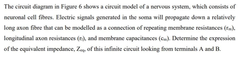 The circuit diagram in Figure 6 shows a circuit model of a nervous system, which consists of
neuronal cell fibres. Electric signals generated in the soma will propagate down a relatively
long axon fibre that can be modelled as a connection of repeating membrane resistances (rm),
longitudinal axon resistances (r), and membrane capacitances (Cm). Determine the expression
of the equivalent impedance, Zeg, of this infinite circuit looking from terminals A and B.
