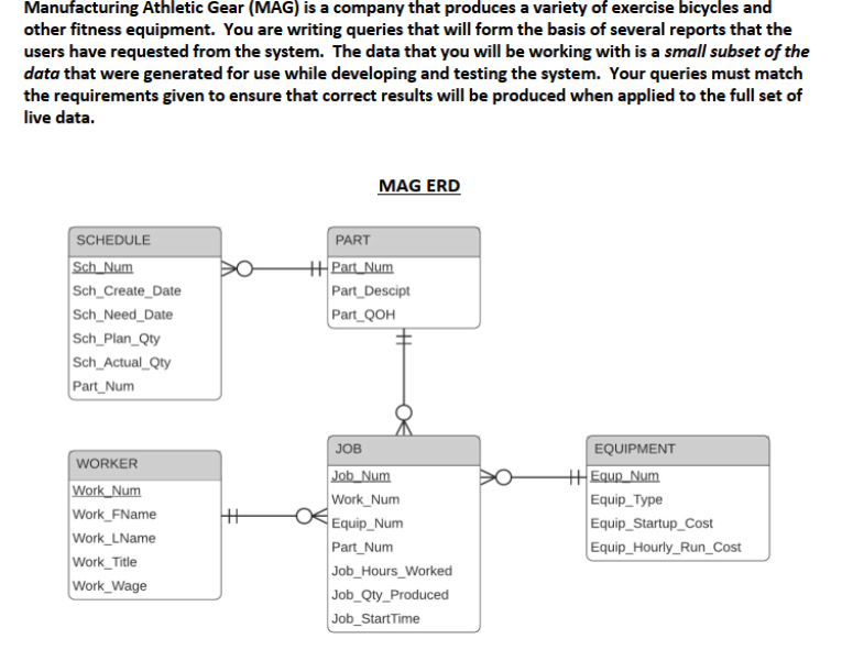 Manufacturing Athletic Gear (MAG) is a company that produces a variety of exercise bicycles and
other fitness equipment. You are writing queries that will form the basis of several reports that the
users have requested from the system. The data that you will be working with is a small subset of the
data that were generated for use while developing and testing the system. Your queries must match
the requirements given to ensure that correct results will be produced when applied to the full set of
live data.
MAG ERD
SCHEDULE
PART
Sch Num
Sch_Create_Date
Sch_Need_Date
Sch_Plan_Qty
Sch_Actual_Qty
Part_Num
+Part_Num
Part_Descipt
Part_QOH
JOB
EQUIPMENT
WORKER
Work Num
Work FName
Work_LName
Work_Title
Work_Wage
Job Num
Work_Num
Equip_Num
Part_Num
Job_Hours_Worked
Job_Qty_Produced
Job_StartTime
Equp_Num
Equip_Type
Equip_Startup_Cost
Equip_Hourly_Run_Cost

