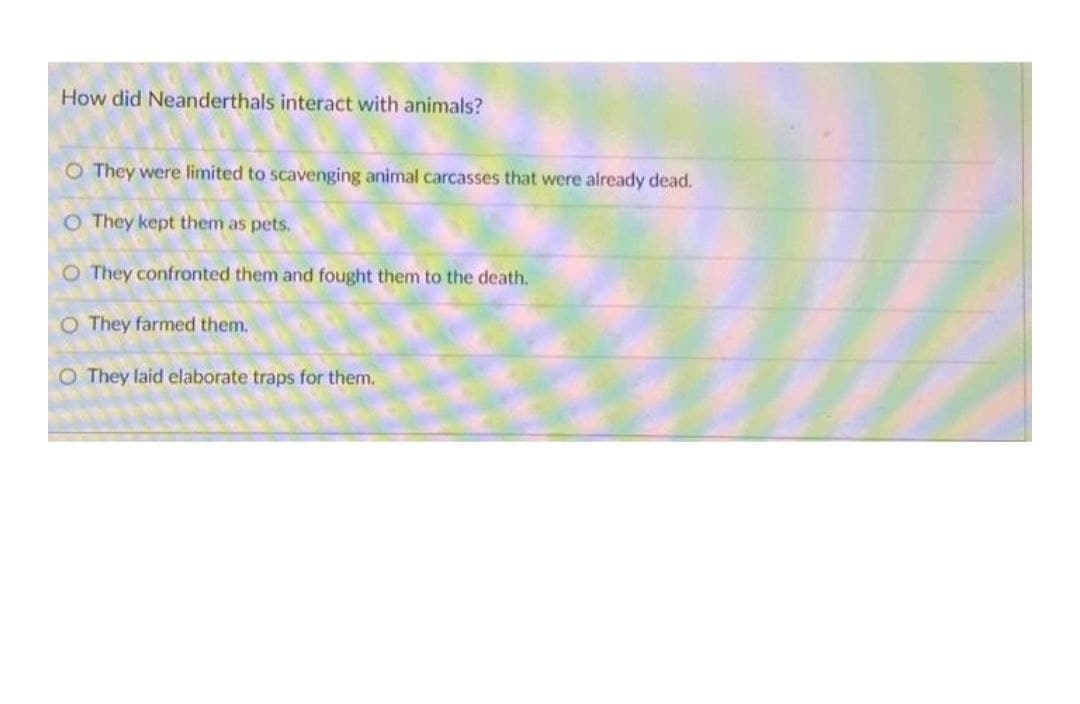 How did Neanderthals interact with animals?
O They were limited to scavenging animal carcasses that were already dead.
O They kept them as pets.
O They confronted them and fought them to the death.
O They farmed them.
O They laid elaborate traps for them.
