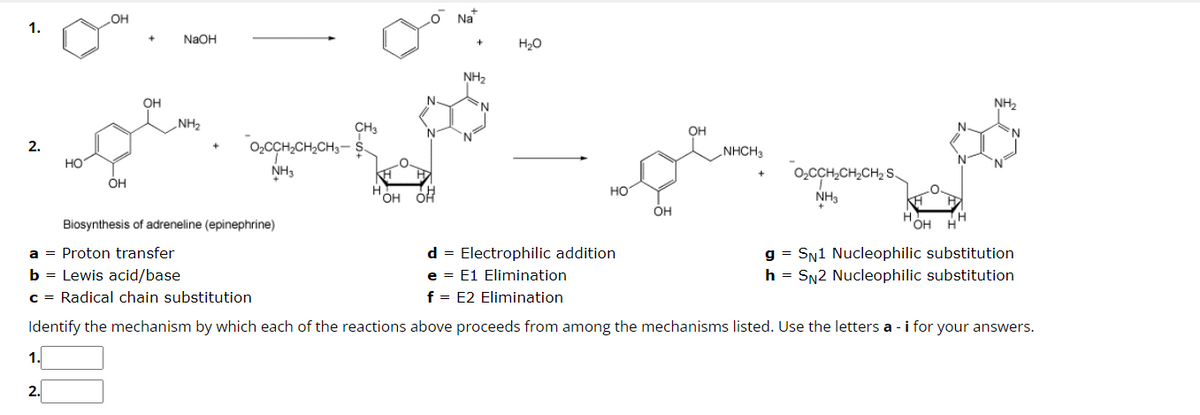 1.
2.
1.
НО
2.
OH
OH
+
OH
NaOH
NH₂
CH3
O₂CCH₂CH₂CH3-$
NH3
Biosynthesis of adreneline (epinephrine)
H
O Na
N
OH OH
+
NH₂
N
H₂O
HO
OH
OH
NHCH3
O₂CCH₂CH₂CH₂ S.
NH3
N
NH₂
N
a = Proton transfer
d = Electrophilic addition
b = Lewis acid/base
e = E1 Elimination
c = Radical chain substitution
f = E2 Elimination
Identify the mechanism by which each of the reactions above proceeds from among the mechanisms listed. Use the letters a - i for your answers.
OH H
gSN1 Nucleophilic substitution
h = SN2 Nucleophilic substitution