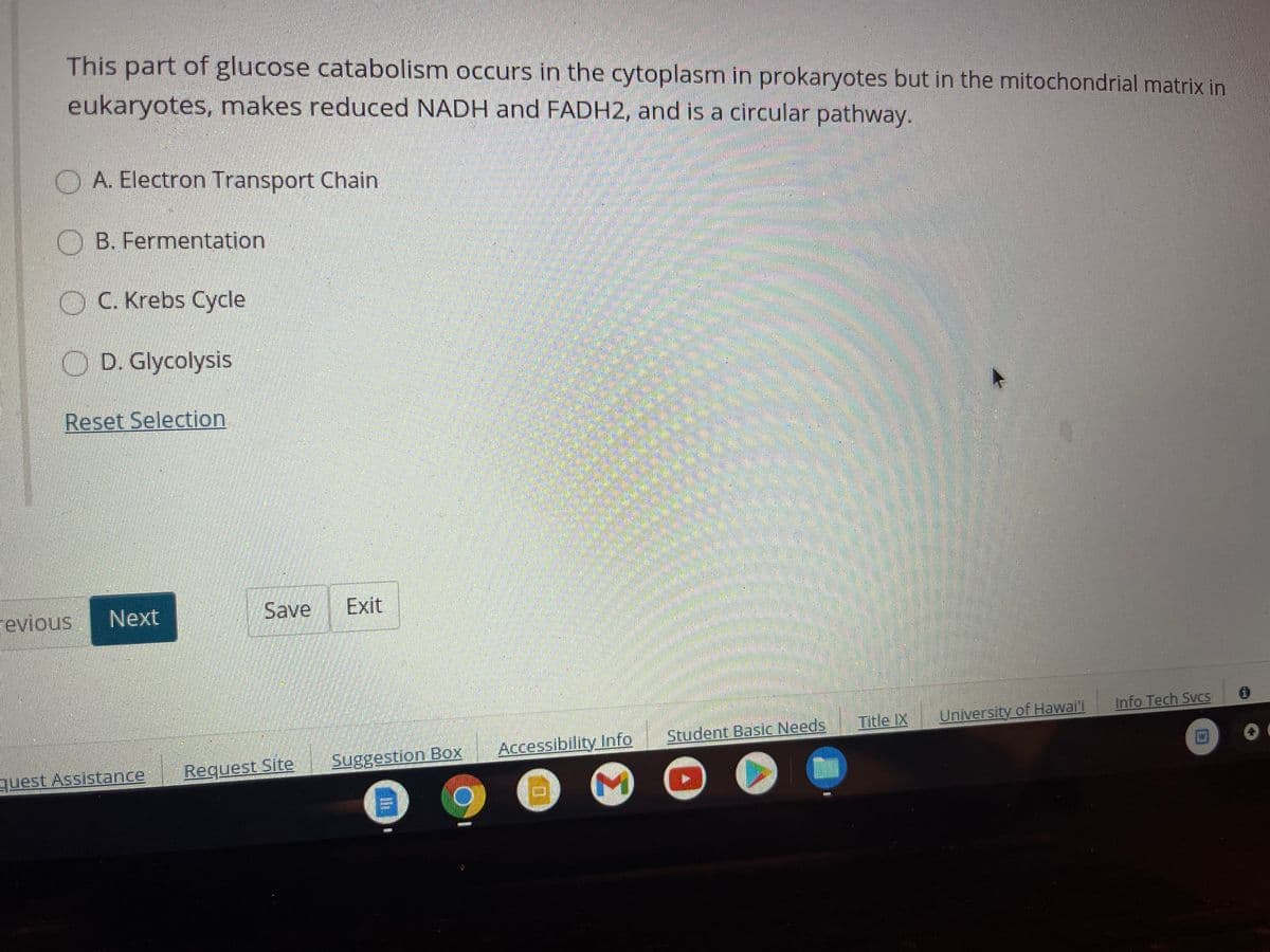 This part of glucose catabolism occurs in the cytoplasm in prokaryotes but in the mitochondrial matrix in
eukaryotes, makes reduced NADH and FADH2, and is a circular pathway.
A. Electron Transport Chain
B. Fermentation
O C. Krebs Cycle
O D. Glycolysis
Reset Selection
Fevious
Next
Save
Exit
Info Tech Svcs
Title IX
University of Hawal'i
Accessibility Info
Student Basic Needs
Request Site
Suggestion Box
quest Assistance
