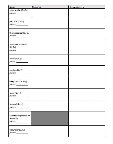 Nerve
Motor to.
Sensation from.
subscapular (Cs-Ce)
plexus:
pectoral (Ce-T.)
plexus:
thoracodorsal (C-Ca)
plexus:
musculocutaneous
(C-Ce)
plexus:
radial (Cs-Ca)
plexus:
median (Ce-T:)
plexus:
deep radial (Ce-Ca)
plexus:
ulnar (Ca-Ta)
plexus:
femoral (Ly-La)
plexus:
saphenous (branch of
femoral)
plexus:
obturator (La-La)
plexus:
