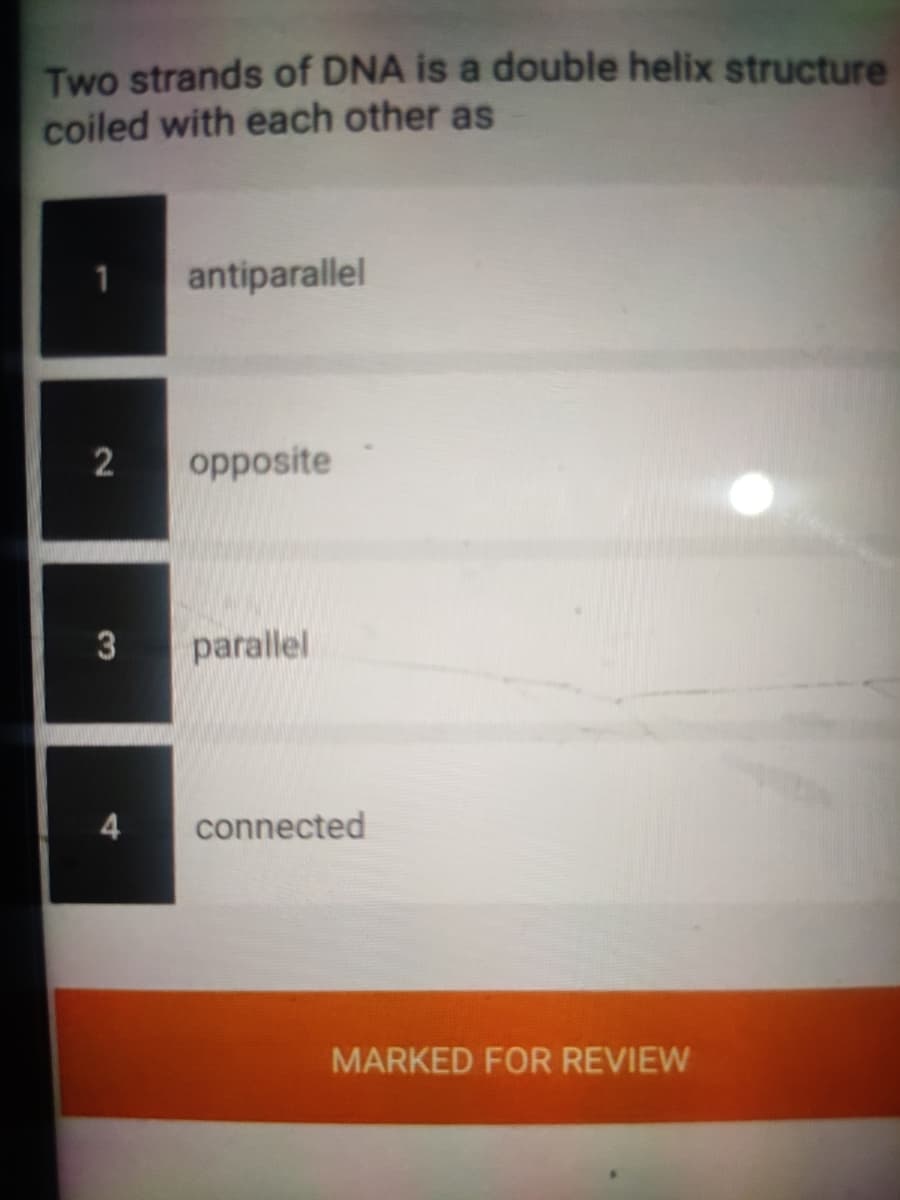 Two strands of DNA is a double helix structure
coiled with each other as
antiparallel
opposite
parallel
4
connected
MARKED FOR REVIEW
2.
