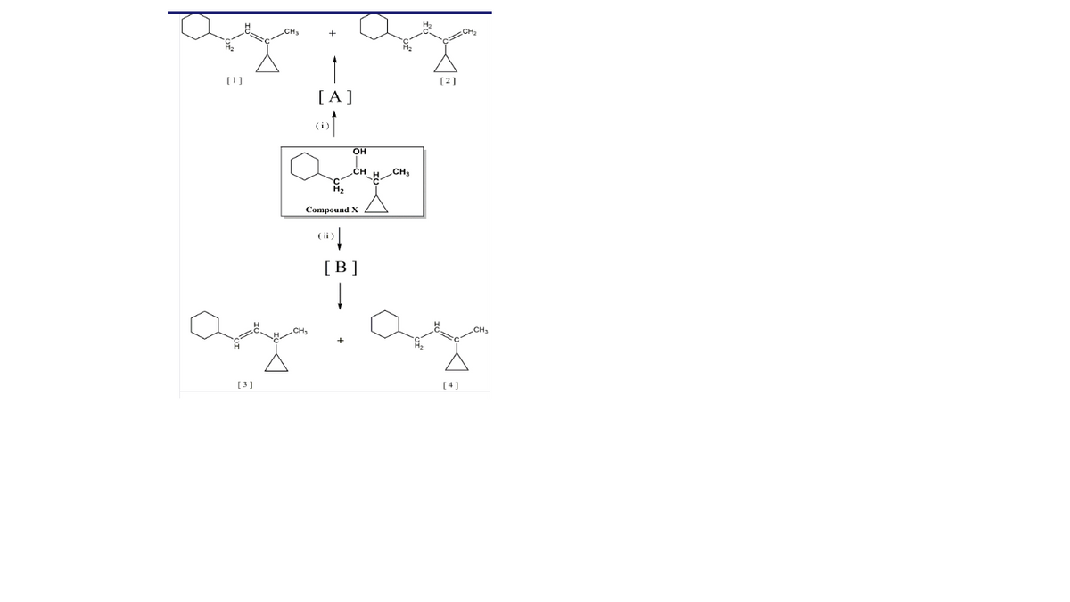 CH2
(1]
[2]
[A]
он
CH
CH3
Compound X
( ii
[B]
[3]
[4]
