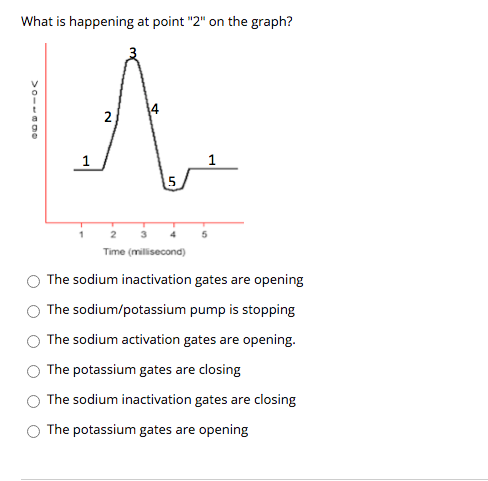 What is happening at point "2" on the graph?
2
Time (millisecond)
The sodium inactivation gates are opening
The sodium/potassium pump is stopping
The sodium activation gates are opening.
The potassium gates are closing
The sodium inactivation gates are closing
The potassium gates are opening
