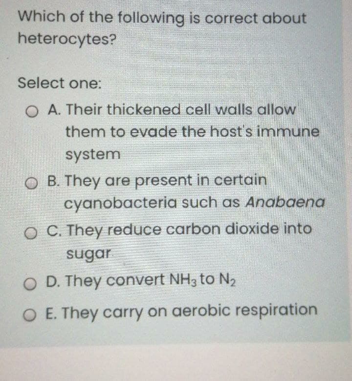 Which of the following is correct about
heterocytes?
Select one:
O A. Their thickened cell walls allow
them to evade the host's immune
system
O B. They are present in certain
cyanobacteria such as Anabaena
O C. They reduce carbon dioxide into
sugar
O D. They convert NH3 to N2
O E. They carry on aerobic respiration
