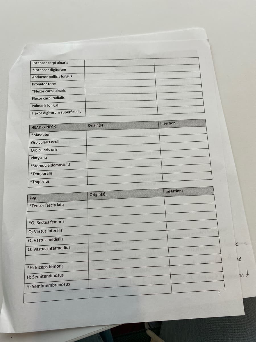 Extensor carpi ulnaris
*Extensor digitorum
Abductor pollicis longus
Pronator teres
*Flexor carpi ulnaris
Flexor carpi radialis
Palmaris longus
Flexor digitorum superficialis
HEAD & NECK
Origin(s)
Insertion
*Masseter
Orbicularis oculi
Orbicularis oris
Platysma
*Sternocleidomastoid
*Temporalis
*Trapezius
Leg
Origin(s):
Insertion:
*Tensor fascia lata
*Q: Rectus femoris
Q: Vastus lateralis
Q: Vastus medialis
Q: Vastus intermedius
*H: Biceps femoris
H: Semitendinosus
H: Semimembranosus
