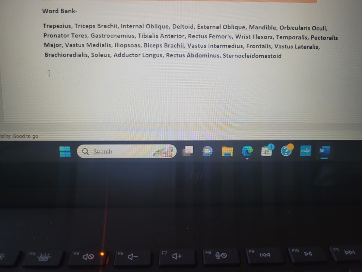 bility: Good to go
€
Word Bank-
Trapezius, Triceps Brachii, Internal Oblique, Deltoid, External Oblique, Mandible, Orbicularis Oculi,
Pronator Teres, Gastrocnemius, Tibialis Anterior, Rectus Femoris, Wrist Flexors, Temporalis, Pectoralis
Major, Vastus Medialis, Iliopsoas, Biceps Brachii, Vastus Intermedius, Frontalis, Vastus Lateralis,
Brachioradialis, Soleus, Adductor Longus, Rectus Abdominus, Sternocleidomastoid
I
17
F5
Search
99
F6
수
F7
F8
40
F9
IAA
F10
myhp
W
FIL