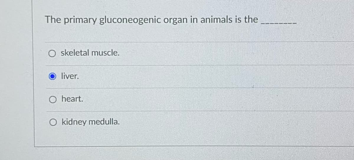 The primary gluconeogenic organ in animals is the
O skeletal muscle.
liver.
O heart.
O kidney medulla.
