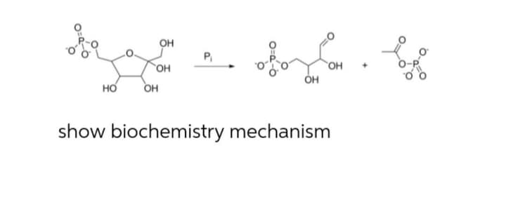 OH
P
OH
OH
но
он
show biochemistry mechanism
