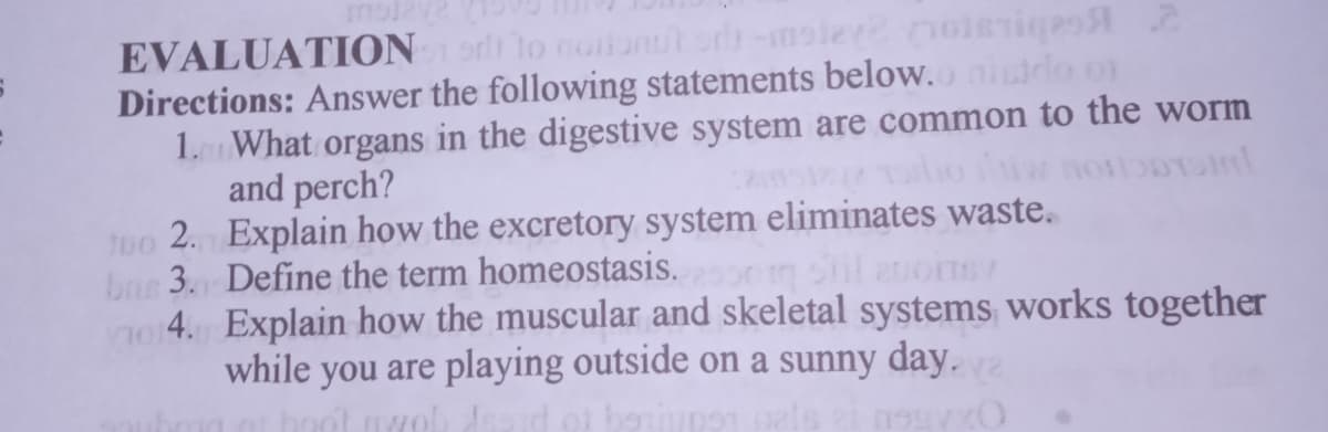 EVALUATIONS
2
or lo nortonut od -mster? moi
Directions: Answer the following statements below.o. nisido of
1. What organs in the digestive system are common to the worm
and perch?
tuo 2.
Explain how the excretory system eliminates waste.
Define the term homeostasis.
bus 3.
Sil anoisy
no 4.
Explain how the muscular and skeletal systems works together
while you are playing outside on a sunny day.
hoot web Asaid of berimpen als zi nsgvxO