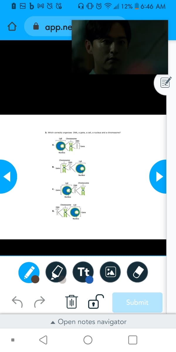 A O © 12% 6:46 AM
app.ne
3. Which correctly organizes DNA, a gene, a cell, a nucleus and a chromosome?
Cel Chromesome
Nucleus
Cell
Cromosome
Nucleus
Chromosome ell
Nucleus
Tt
Submit
Open notes navigator
